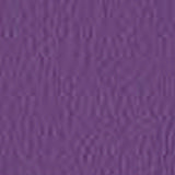 secret-7s7-purple.jpg